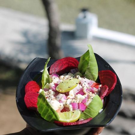 Shivanjal Wellness And Accommodation Rishīkesh Exterior foto